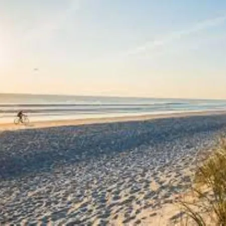 Comfortable Close To The Shore In Appartement