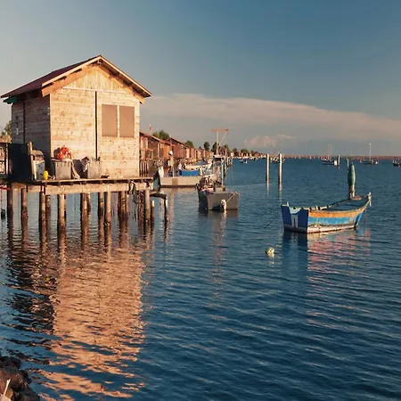 Comfortable Close To The Shore In